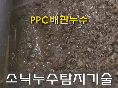대구 누수탐지 대구 서구 비산동 주택 누수 수도요금 과다하게 나온 원인을 마당에 ppc 배관 누수로 밝혀낸 사례