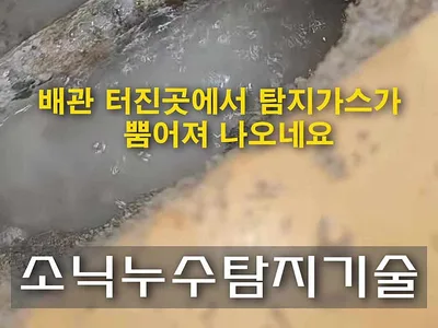 대구 누수탐지 수성구 지산동 주택누수 현장에서 일상생활배상책임 보험 적용이 안된 이유