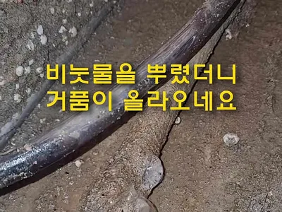 대구 누수탐지 대구누수 수성구 신세계타운 누수 / 온도 차 확인으로 온수배관 누수탐지 해결