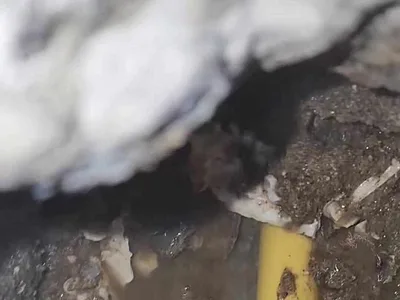 대구 북구 복현동 누수, 걷어 낸 바닥의 흙과 콘크리트 조각을 가까이 찍은 영상 화면