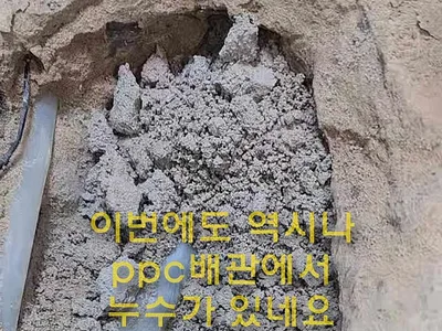 대구 누수탐지 대구 누수 중에 복원 누수도 일상생할배상책임 보험으로 누수 공사비 적용 가능 할까? 각산동 대금모닝뷰
