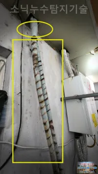 대구 배관 이음부 누수를 수리하는 현장, 서구 평리동 2층 주택, 1층 뒷벽을 타고
