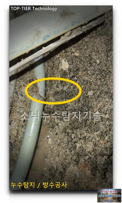 노란 원으로 표시한 회색 냉수배관 옆 가는 누수 물줄기, 대구 수성구 필로티 원룸