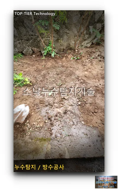 돌담과 나무 아래 흙을 되메우고 다진 영양군 일월면 한옥 뒷마당 누수 복구 자리